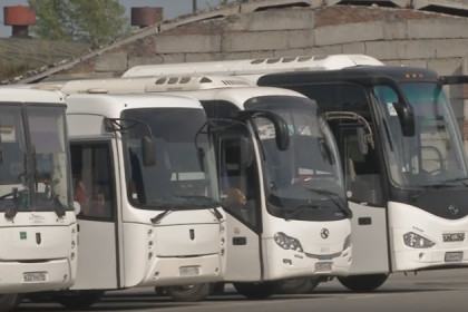 100 новых автобусов в год планируют покупать в Новосибирске