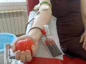 Региональная акция «ИТ-донор» прошла в Новосибирске