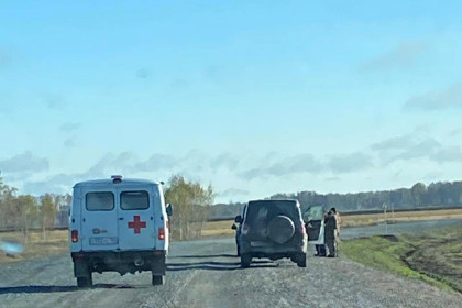 Прекращены поиски пропавшего в лесу жителя Усть-Таркского района