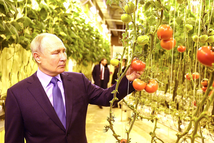 Чем Путина удивили на Чукотке: рассказ новосибирца
