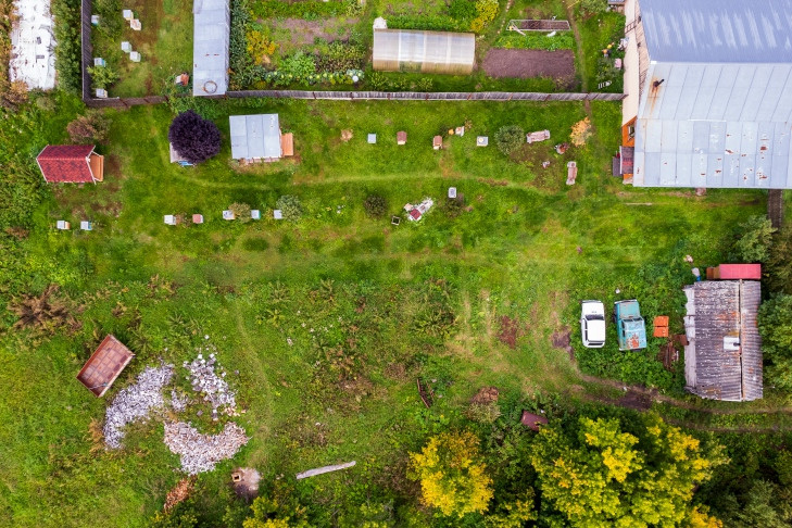 Правила высадки саженцев напомнила дачникам Новосибирска профессор НГАУ Титова
