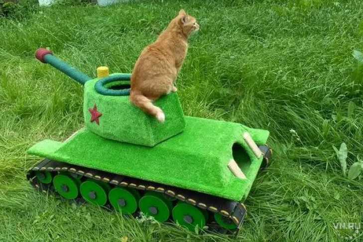 Самоходный танк для кошки собрал новосибирский инженер