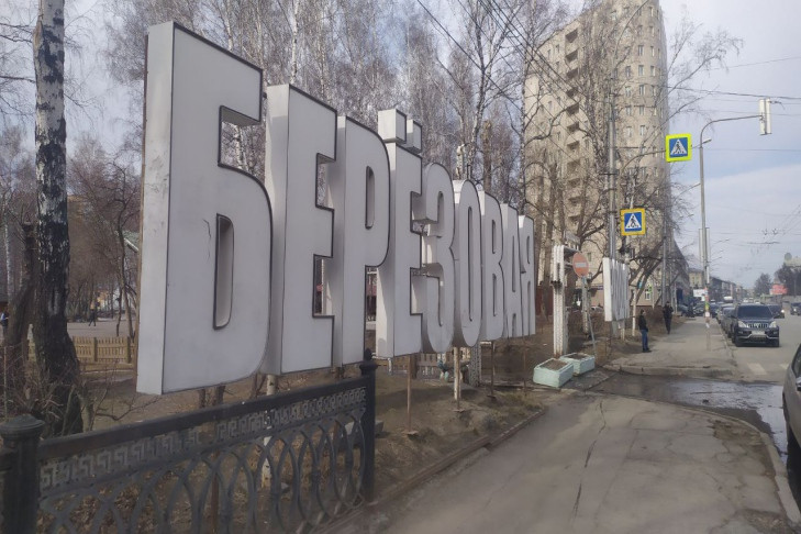 О невозможности остановить вырубку в «Березовой роще» заявили в мэрии Новосибирска