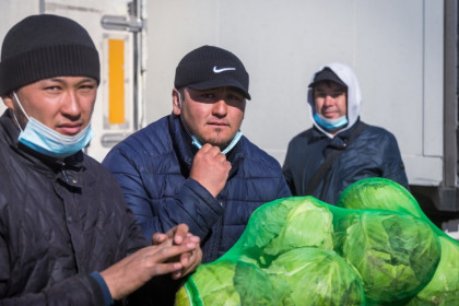 Не оглядываться на людей и не шуметь – памятку для мигрантов составили в Новосибирске