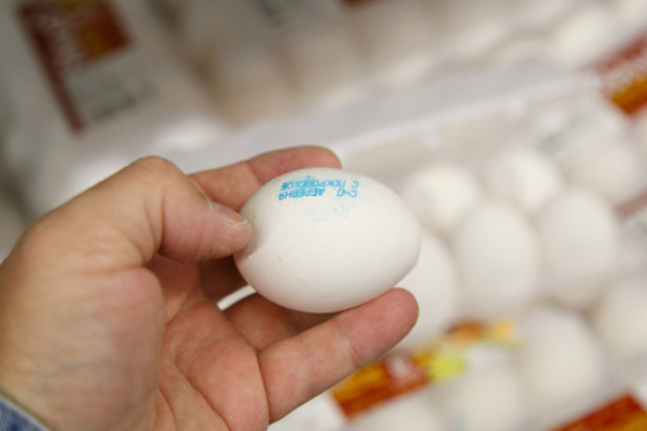 Секреты правильных яиц на Пасху-2025 раскрыли в Новосибирске