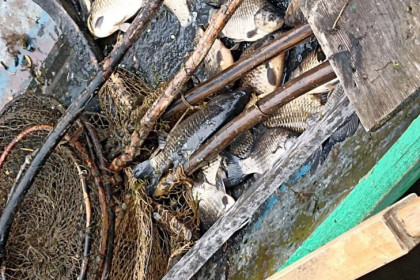 Самую опасную рыбу в Оби назвал биолог Маталин