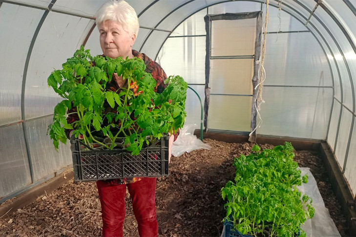 Новосибирские дачники вспомнили самые странные приметы для урожая