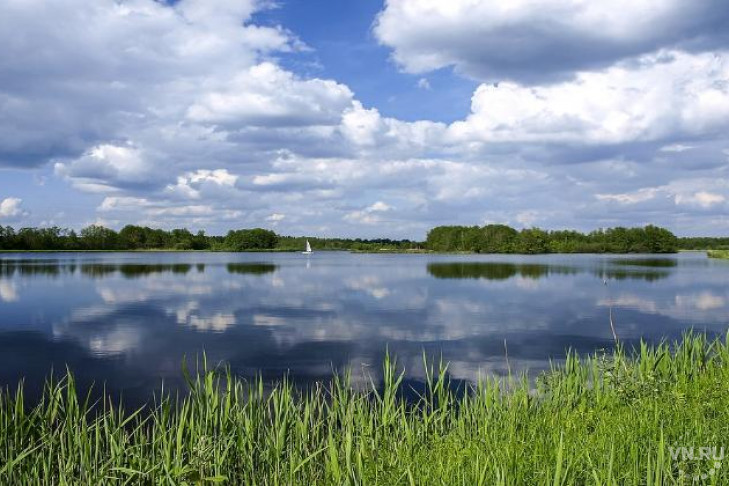 Озеро Сладкое остается в Новосибирской области