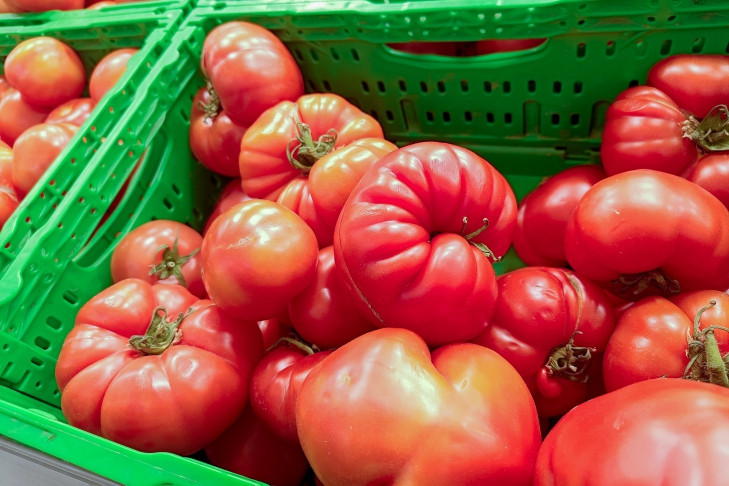 Хранить зеленые помидоры в холодильнике запретили дачникам в Новосибирске