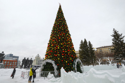 «Размер не имеет значения»: главная елка Новосибирска останется прежней в Новый год-2022