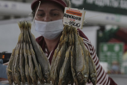 Рынки Новосибирска возобновили работу, но покупателей нет