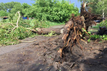 Город Обь пережил сильнейший ураган: фоторепортаж