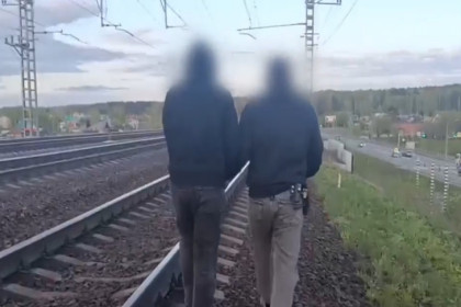 Школьник-диверсант из Ставрополья приехал в Новосибирск по указанию мошенников
