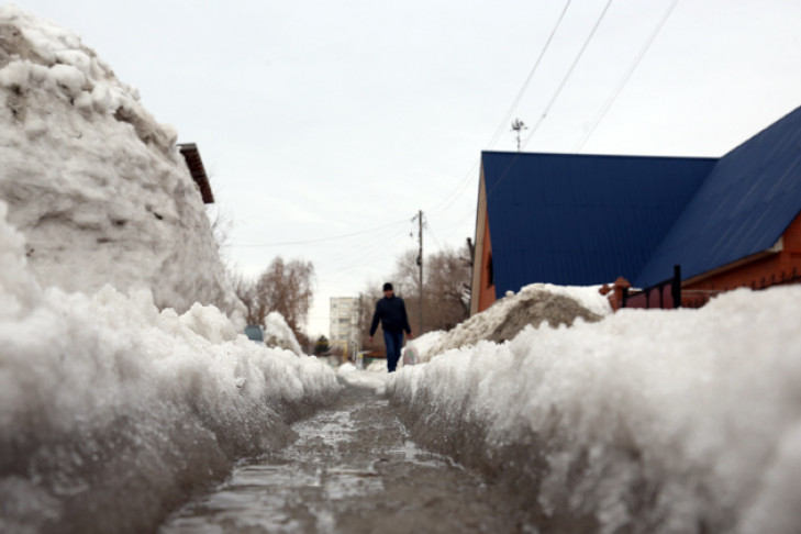 Весна ворвётся в Новосибирск 6 марта — плюс 2 градуса днем   