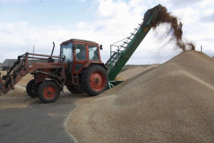 Санкции не помеха экспорту Новосибирского зерна