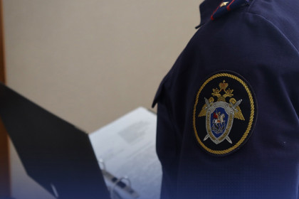 Бастрыкин взял на контроль расследование дела мигранта-насильника из Бердска