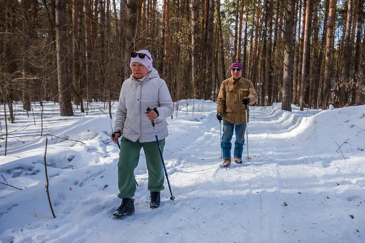 Морозы до -20 градусов ждут синоптики в ноябре в Новосибирске