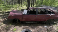 Неизвестные сожгли автомобиль в лесу в Новосибирске