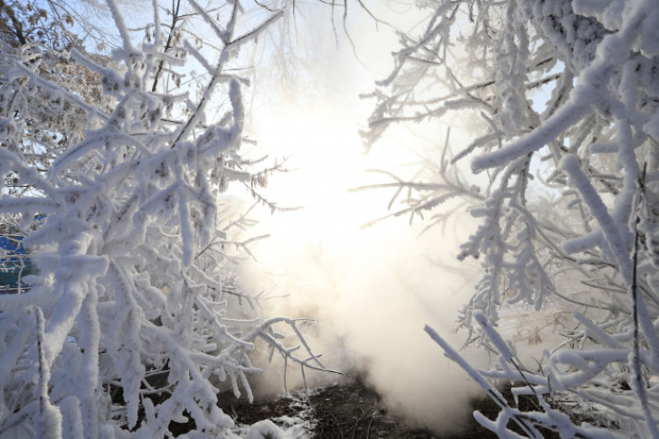 Первые суровые морозы начнутся в Новосибирске 8 декабря
