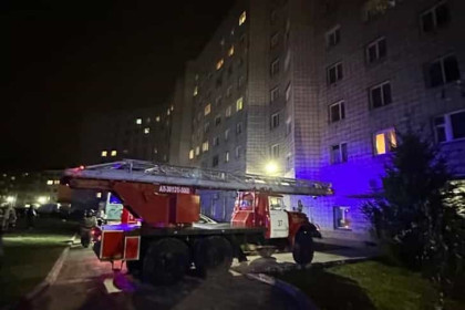 Двух детей через окно третьего этажа спасли пожарные на Затулинке