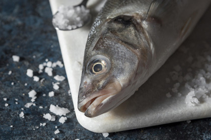 Обработчики рыбы стали самой востребованной рабочей профессией в 2025 году в Новосибирской области