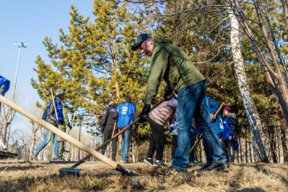 Губернатор поручил развернуть работы по уборке улиц Новосибирска