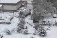 Долг новосибирского «Спецавтохозяйства» составляет 1,6 млрд рублей