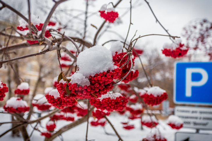 Морозы до -10 придут в Новосибирск после потепления 12 и 13 ноября