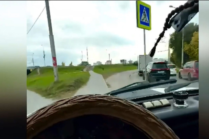 Блогера с 50 неоплаченными штрафами за нарушение ПДД задержали в Новосибирске