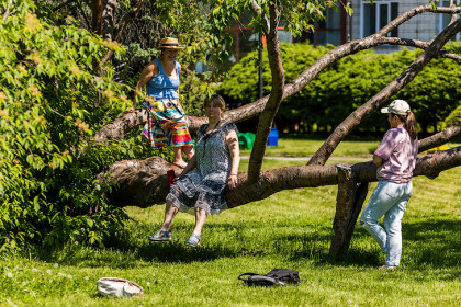 Жара выше +30 градусов придет в Новосибирск в Дорофеев день 18 июня