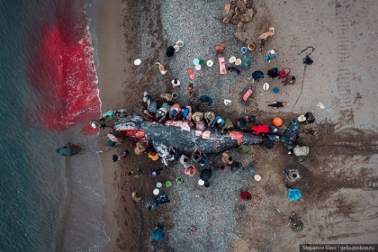 Новосибирский фотограф Слава Степанов показал кадры китовой охоты на Чукотке