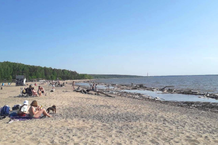 Центральный пляж Академгородка вновь официально закрыт