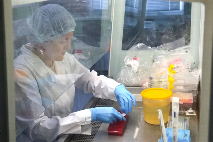 681 человек заболел коронавирусом в Новосибирской области