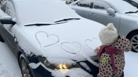 Тёплая и неснежная погода установится в Новосибирск на неделе