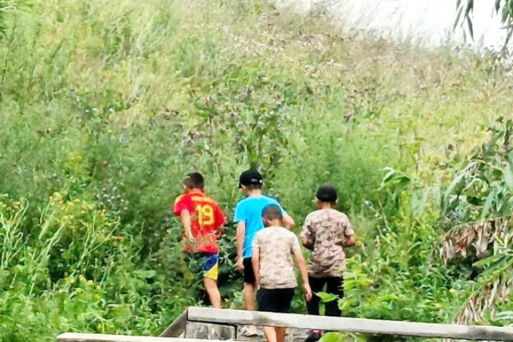 Не сдает каждый третий: мигранты в Новосибирске вновь завалили тесты по русскому