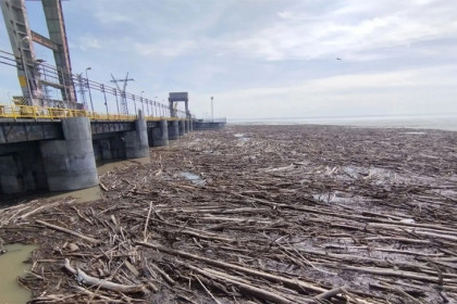 Бревна в фарватере: на ГЭС Новосибирска проведут сброс древесины