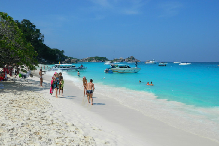 Новосибирских любителей Индии и Таиланда призвали вакцинироваться от бешенства