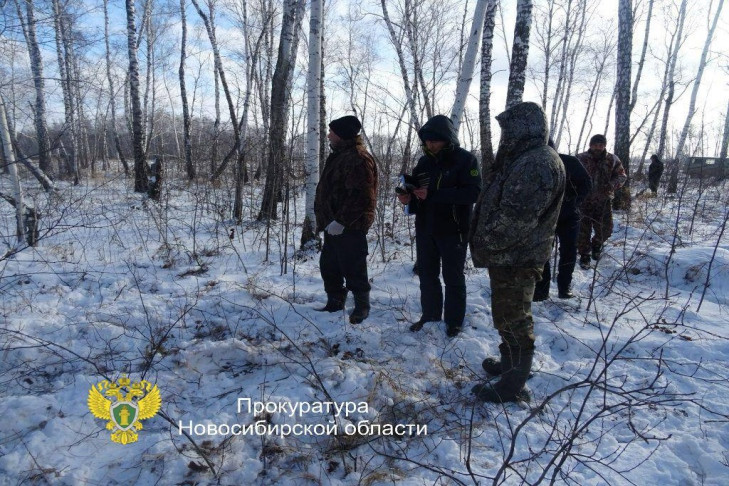 Четырех косуль выбросили из окна машины браконьеры в Новосибирской области