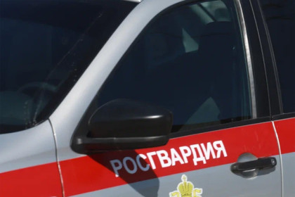 Тракторист откопал на поле под Новосибирском боевой снаряд времен ВОВ