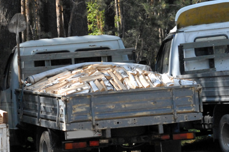 Бизнес на краденых дровах организовал новосибирец