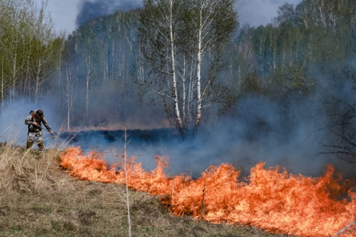 На борьбу с пожарами Новосибирской области выделено 44 миллиона рублей из госбюджета