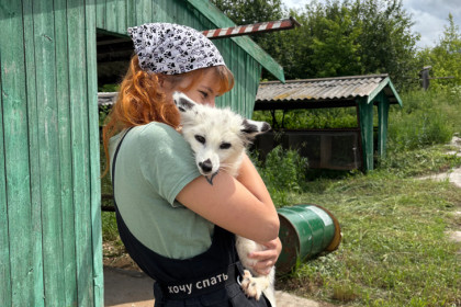 «В природе их растерзают»: новосибирские ученые показали одомашненных животных