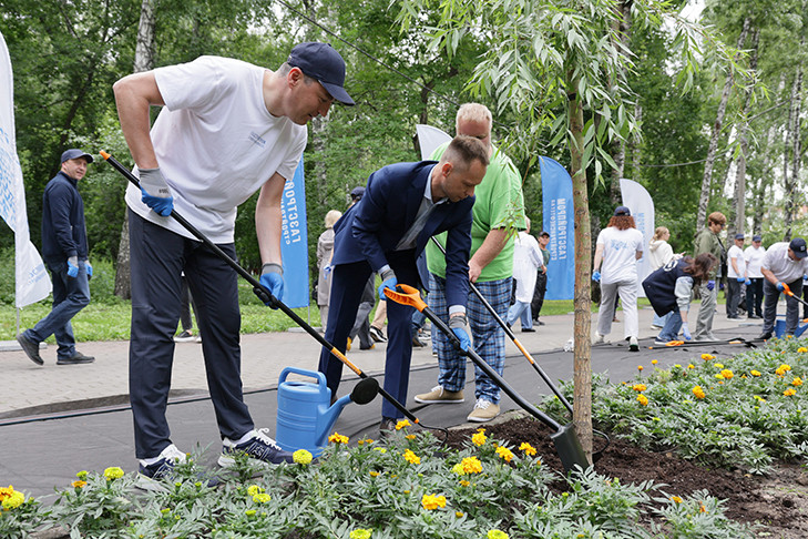В Новосибирске появилась ивовая аллея в честь 80-летия Победы