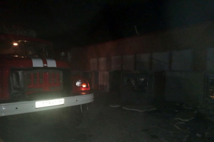 Пожар на птицефабрике под Искитимом уничтожил 750 цыплят