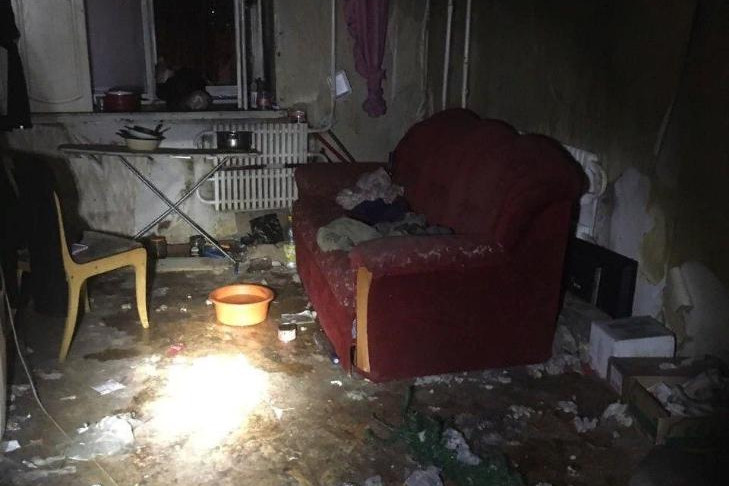 Одинокий мужчина и пять его собак погибли на пожаре в Бердске