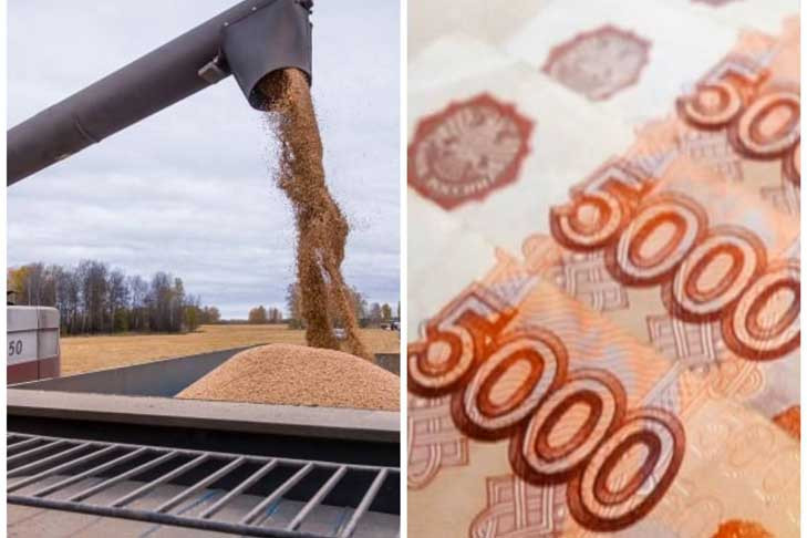 Пшеница резко подорожала в Новосибирской области