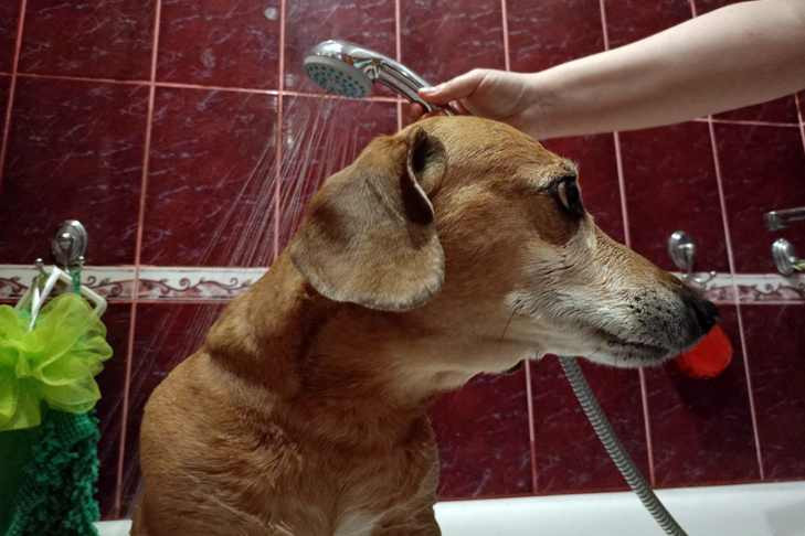 Горячей воды нет уже в пяти районах Новосибирска