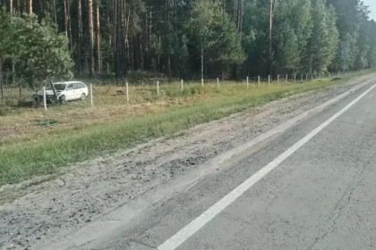 Смертельное ДТП на Северном обходе: водитель «Короллы» врезался в дерево