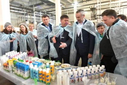 Новую молочную линию осмотрел Андрей Травников в Тогучине