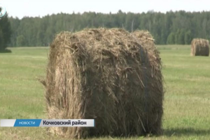 25 центнеров сена с гектара заготавливают в Кочковском районе
